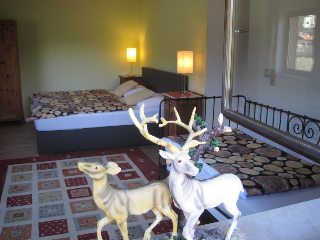 The Art & Sport Hotel Инсбрук Экстерьер фото